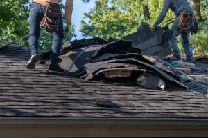 professional roofing contractors longmont