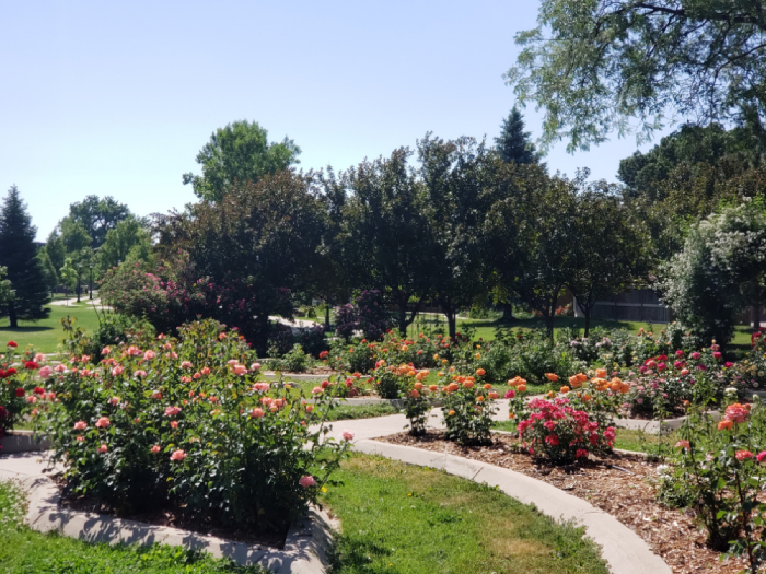 City of Longmont Roosevelt Park