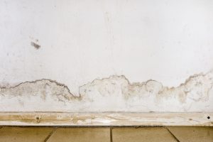 Flooding Rainwater Or Floor Heating Systems, Causing Damage, Peeling Paint And Mildew.